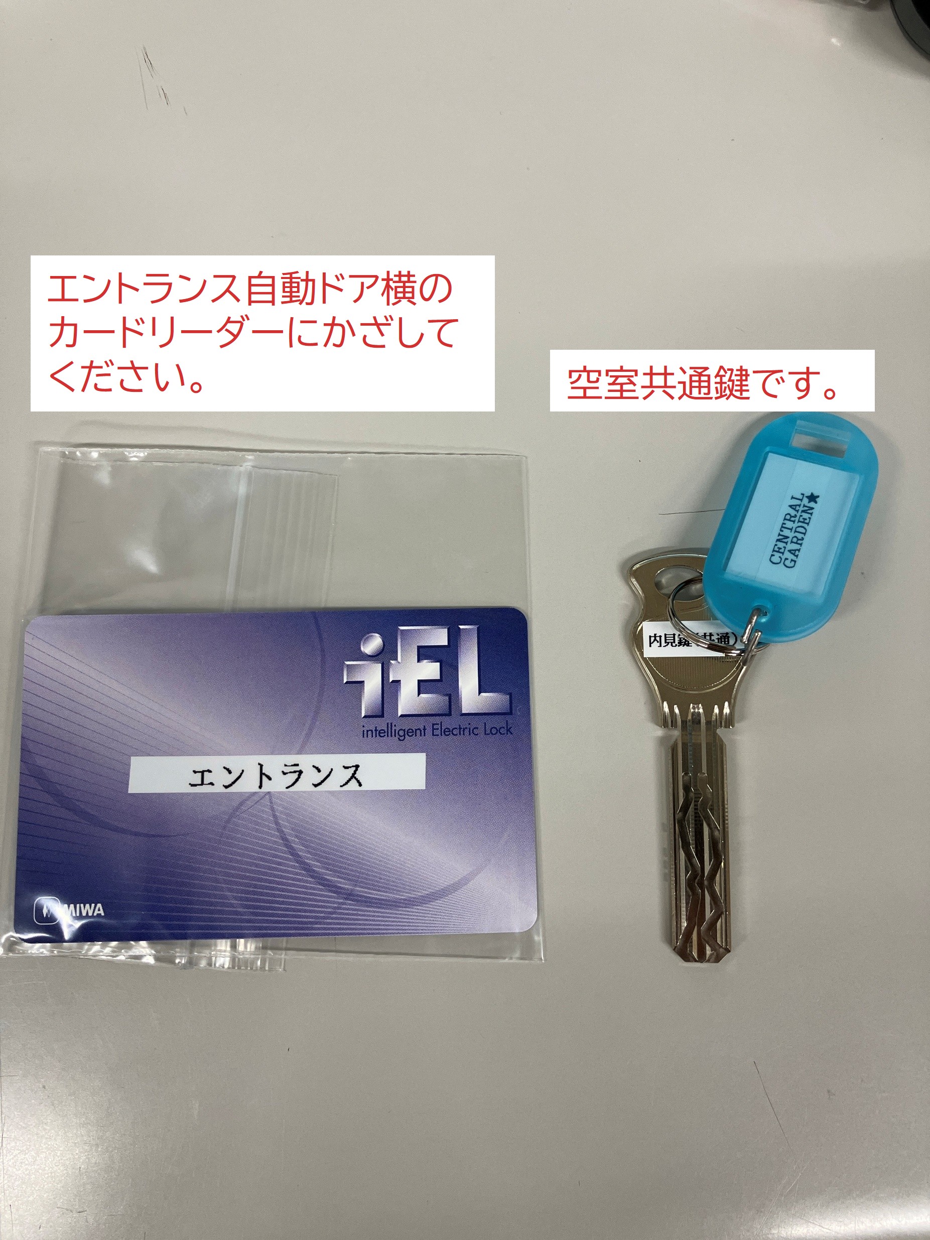 CENTRAL GARDEN キー4